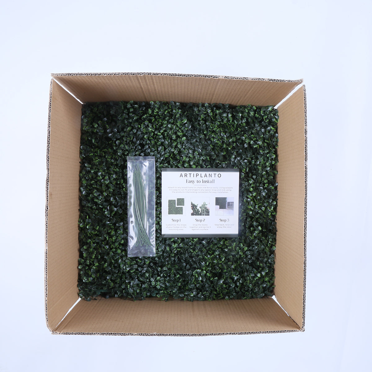 Barcelona (box of 12)