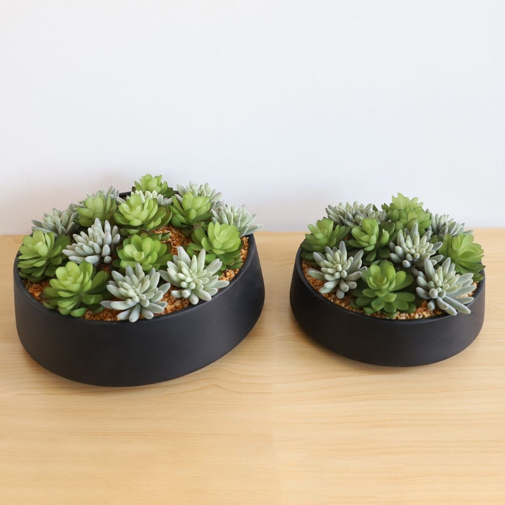 Kae Artificial Succulent Arrangement in Low Black Pot