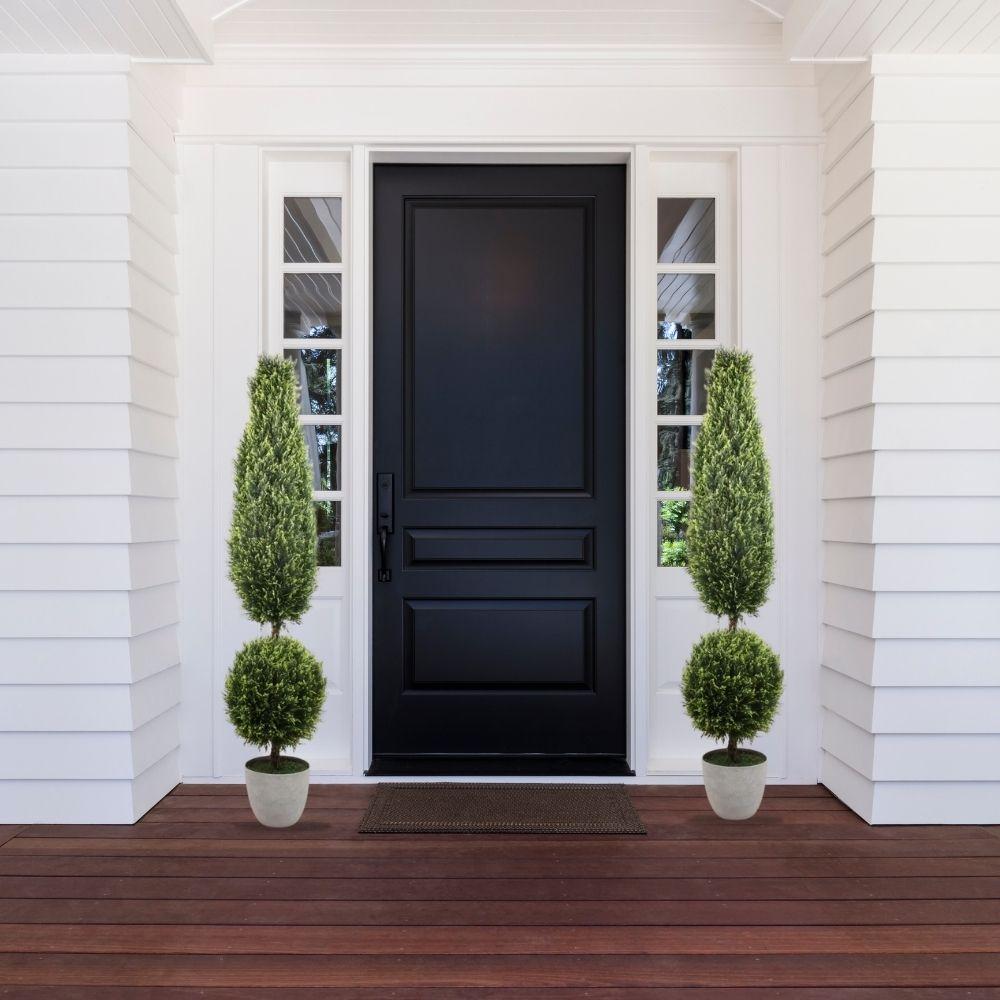 Jacob Potted Boxwood Topiary Plant (Multiple Sizes)