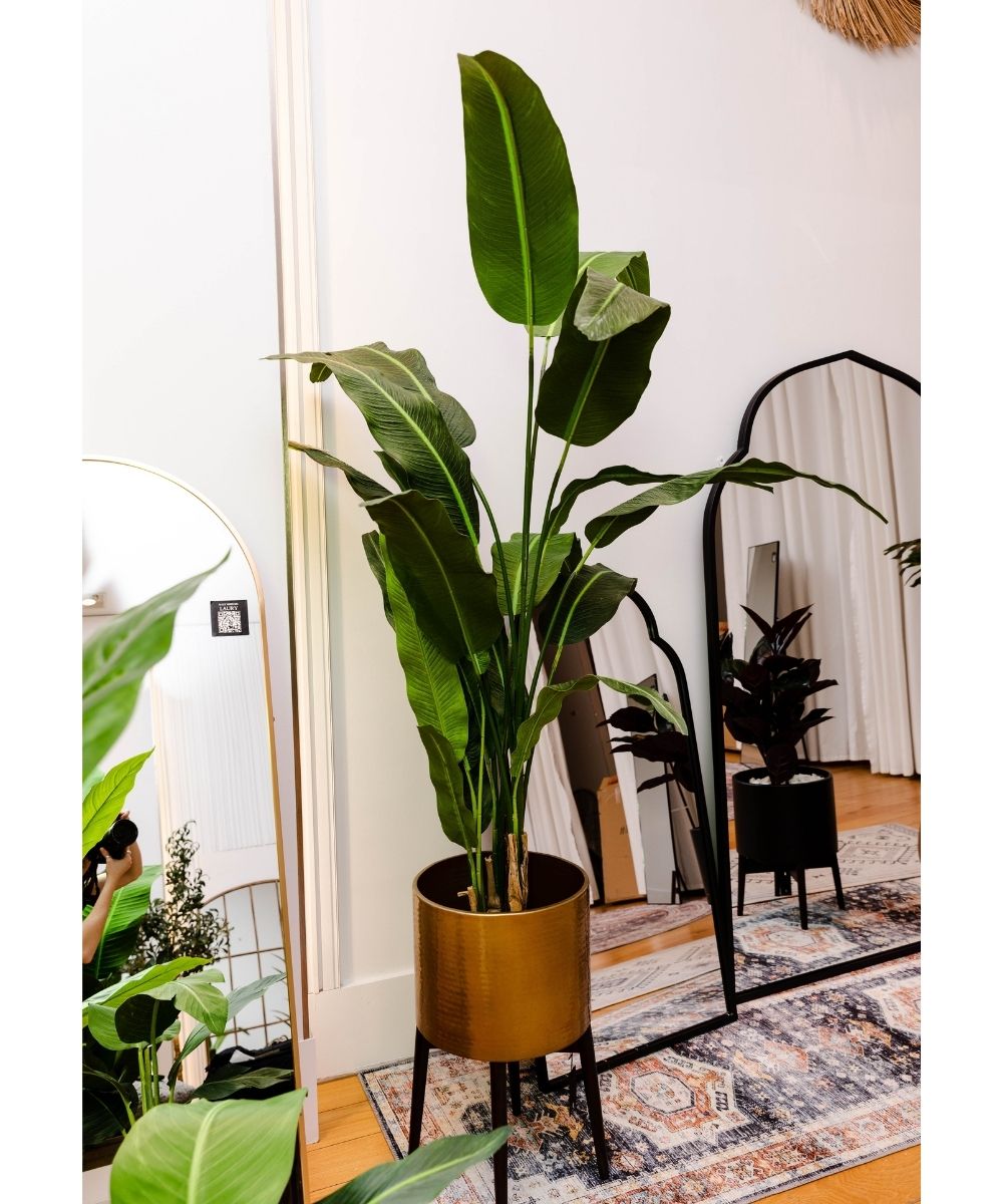 Kola Artificial Travellers Palm Tree Potted Plant (Multiple Sizes)