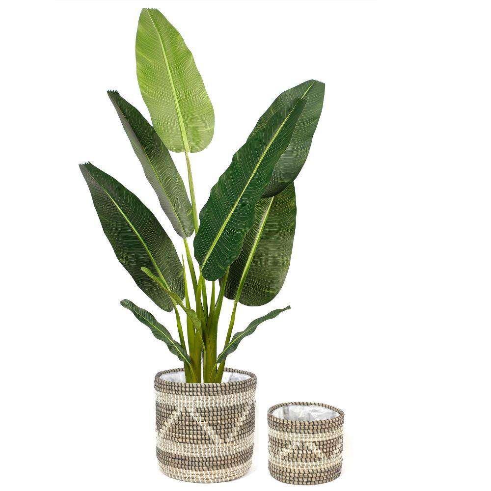 Cobra - Seagrass Planter