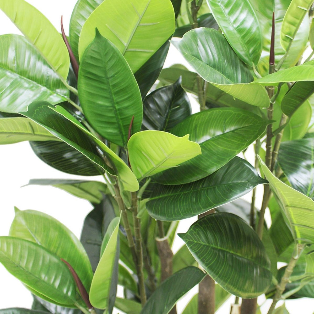 Encanto Artificial Rubber Potted Plant (Multiple Sizes)