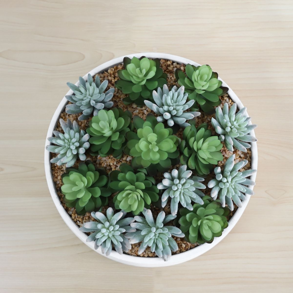Eva Artificial Succulent Arrangement in Low White Pot