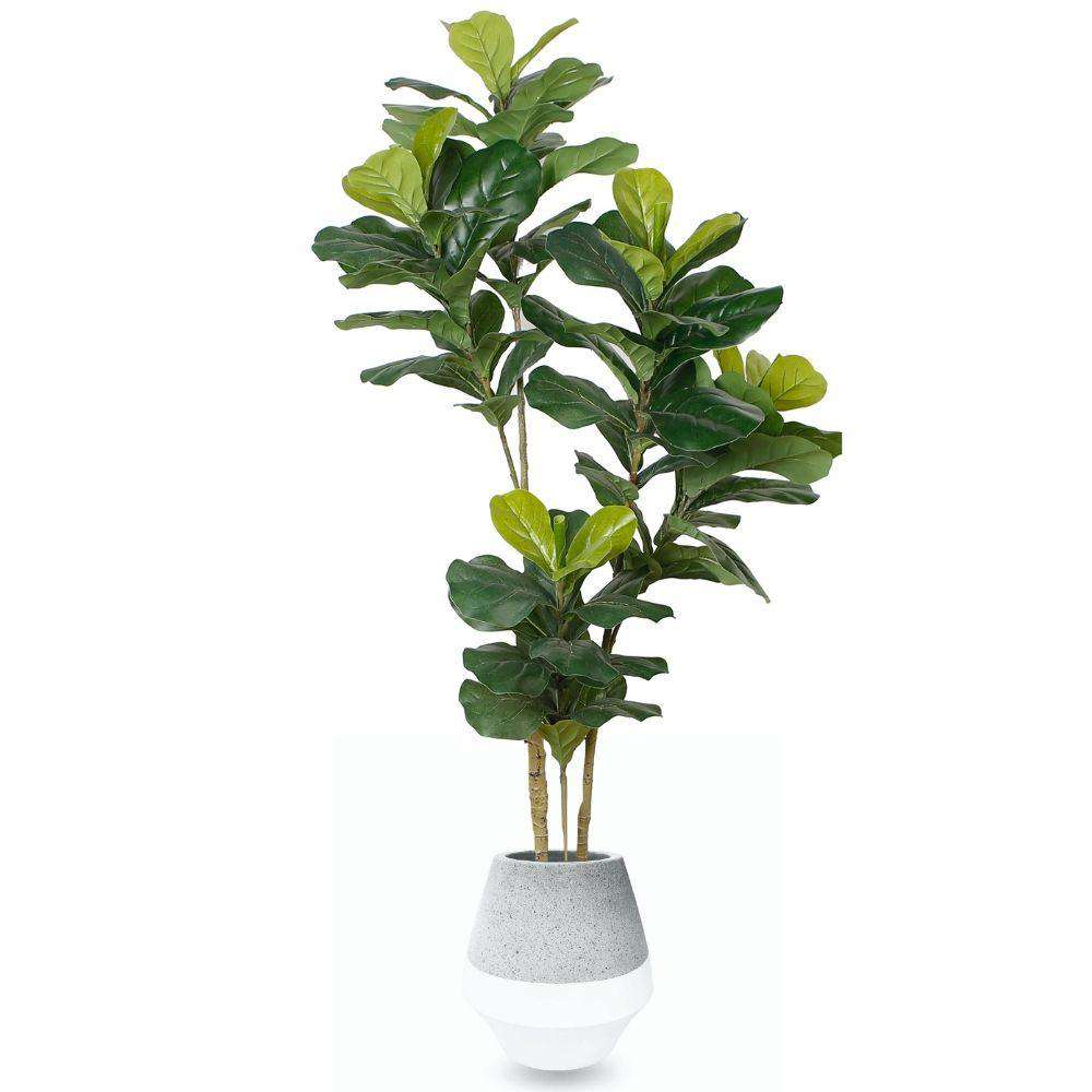 Gia Cement Planter