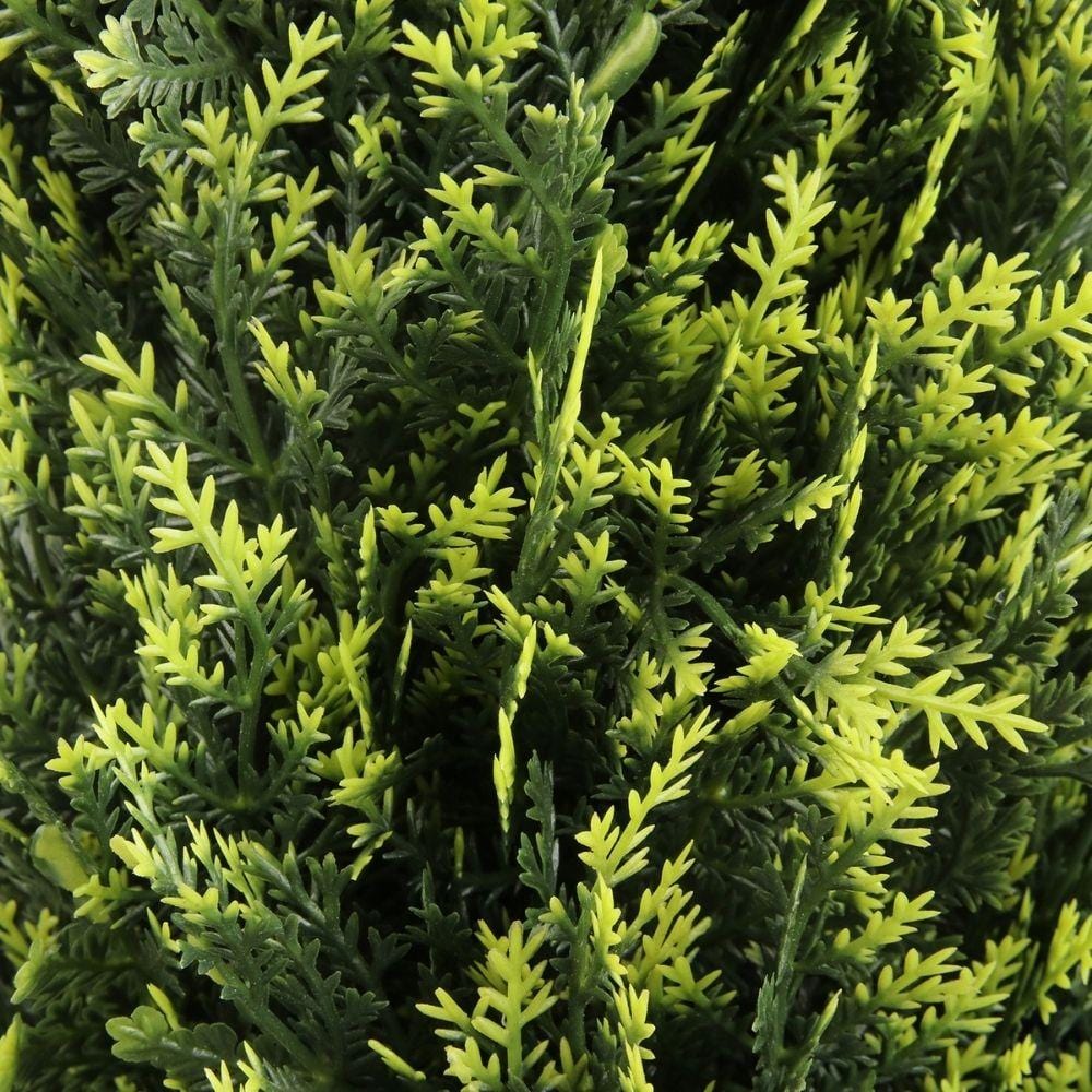 Jacob Potted Boxwood Topiary Plant (Multiple Sizes)