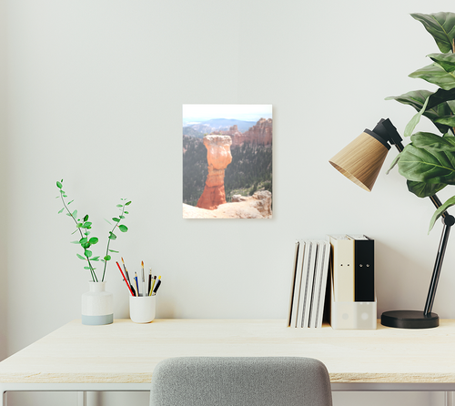 Aluminum Print