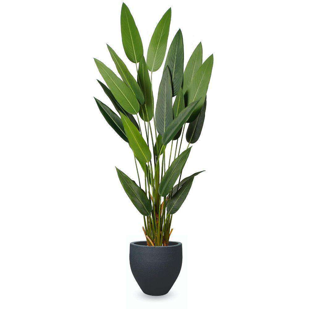 Aba Black Cement Planter (Multiple Sizes)