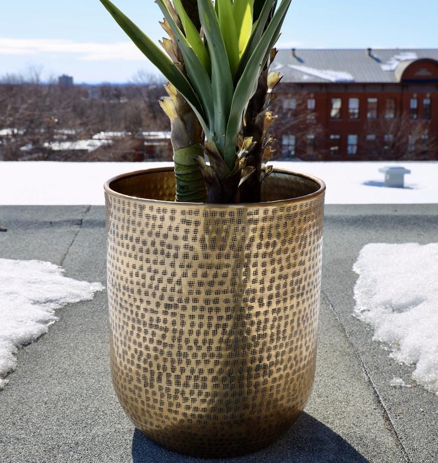 Bertooo - Brass Mid-Century Planter