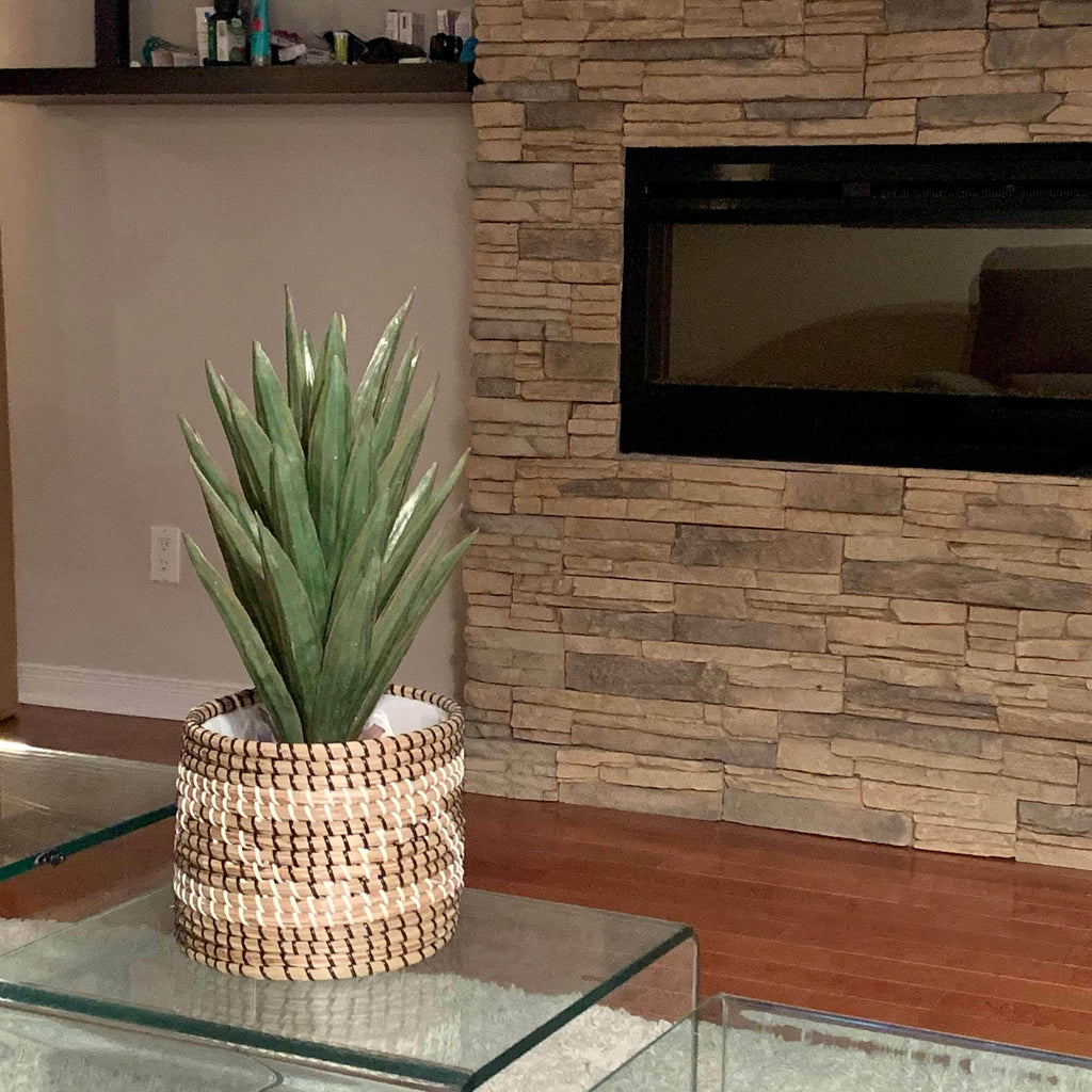 Aloa Artificial Aloe Tree Potted Plant 20''