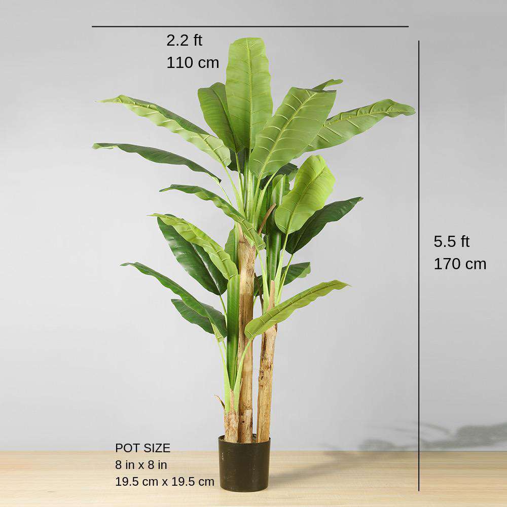 Anna Artificial Banana Tree Potted Plant (Multiple Sizes)