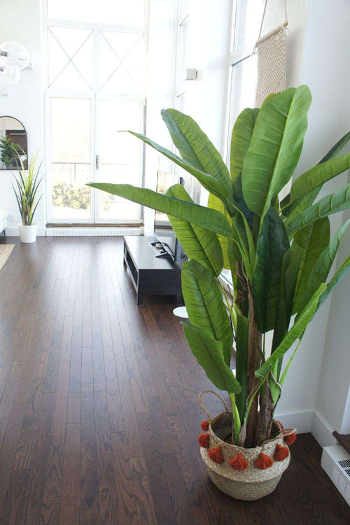 Anna Artificial Banana Tree Potted Plant (Multiple Sizes)