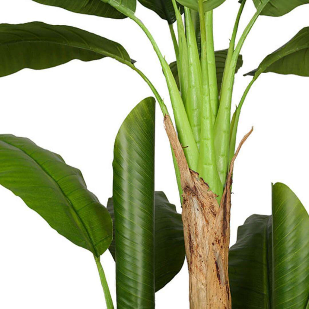 Anna Artificial Banana Tree Potted Plant (Multiple Sizes)