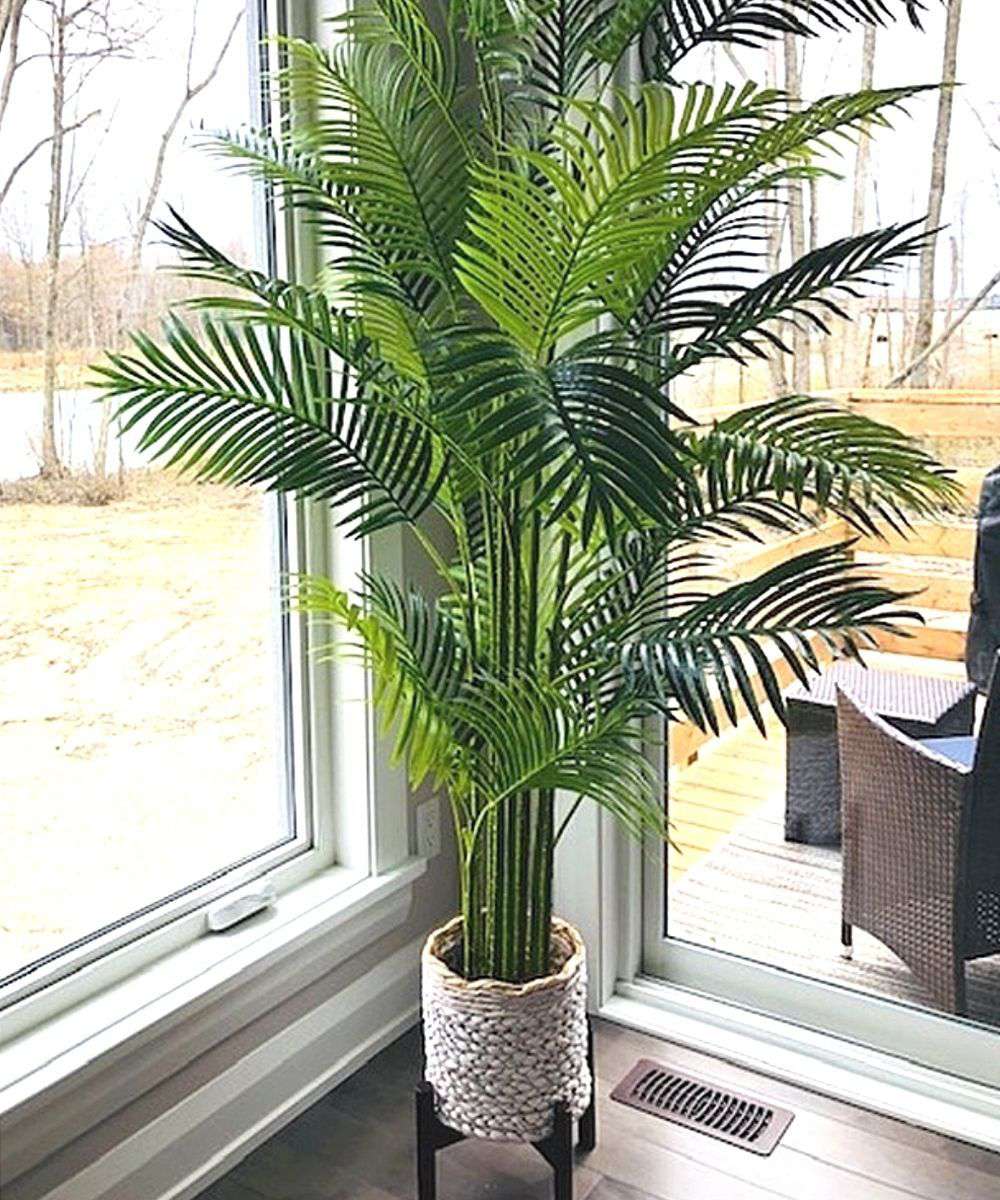 Arlo Artificial Hawaii Kwai Palm Tree Potted Plant (Multiple Sizes)