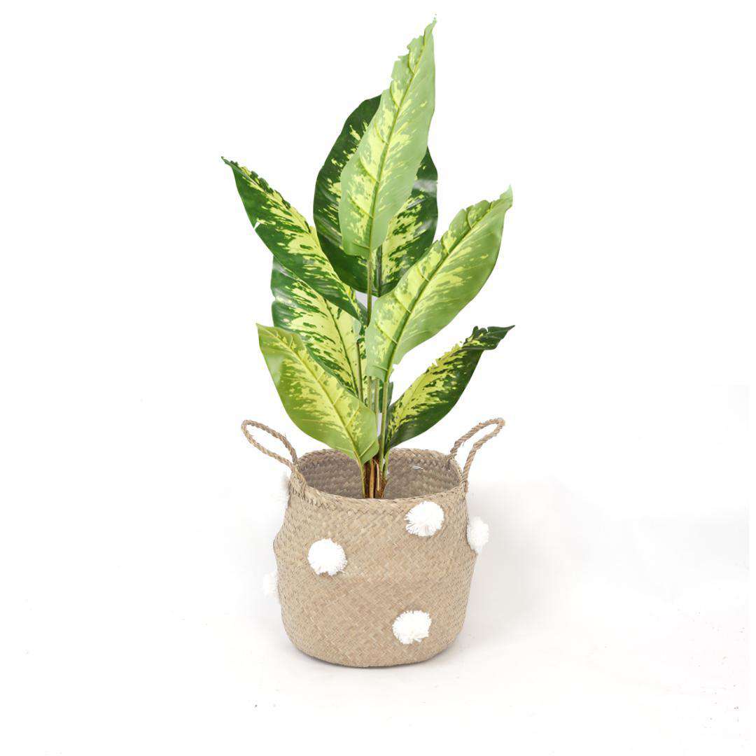 Bomba - Seagrass Basket With White Pompoms