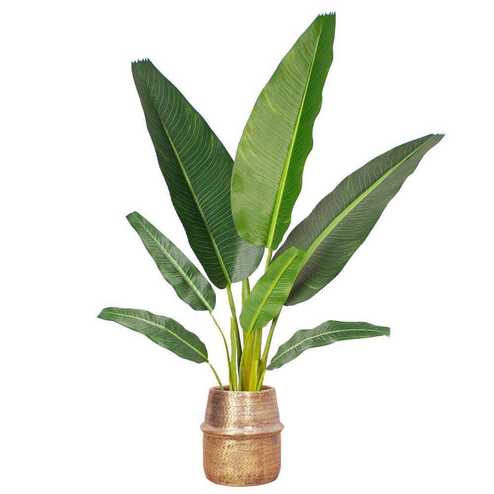 Bonita -Rattan Brass Finish Planter