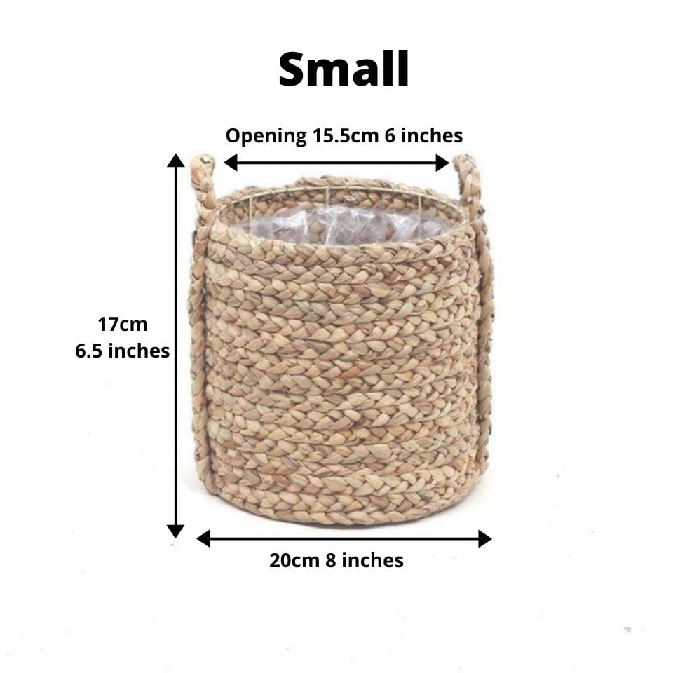 Cece - Water Hyacinth Planter