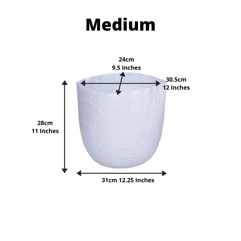 Chata - Brass Basket Planter (Multiple Sizes)