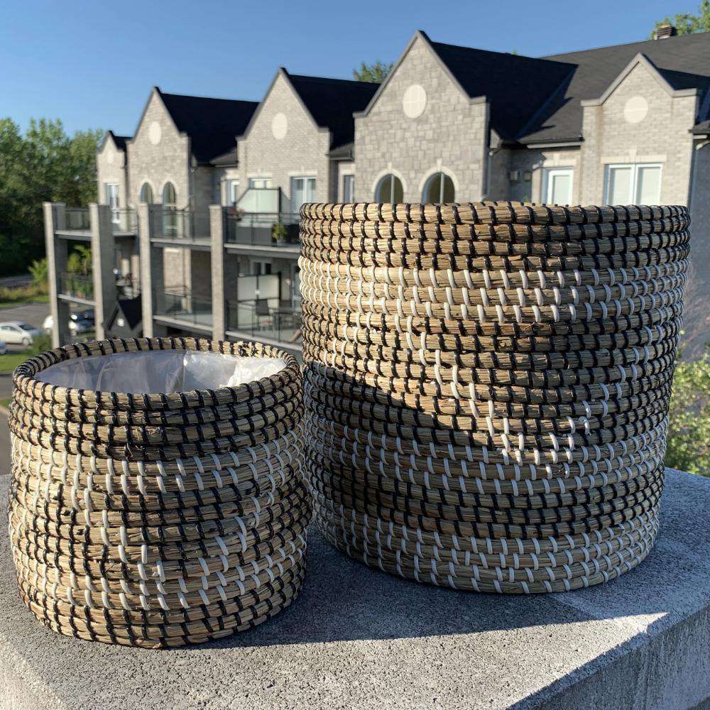 Cobra - Seagrass Planter