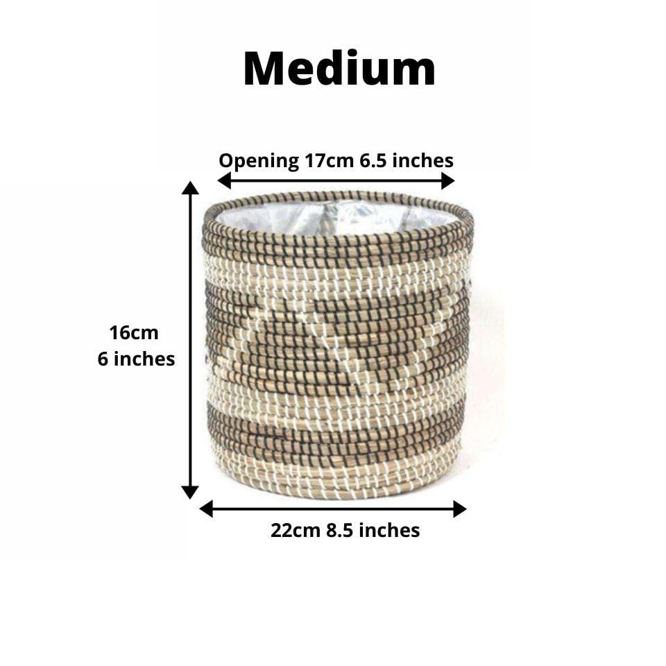 Cobra - Seagrass Planter