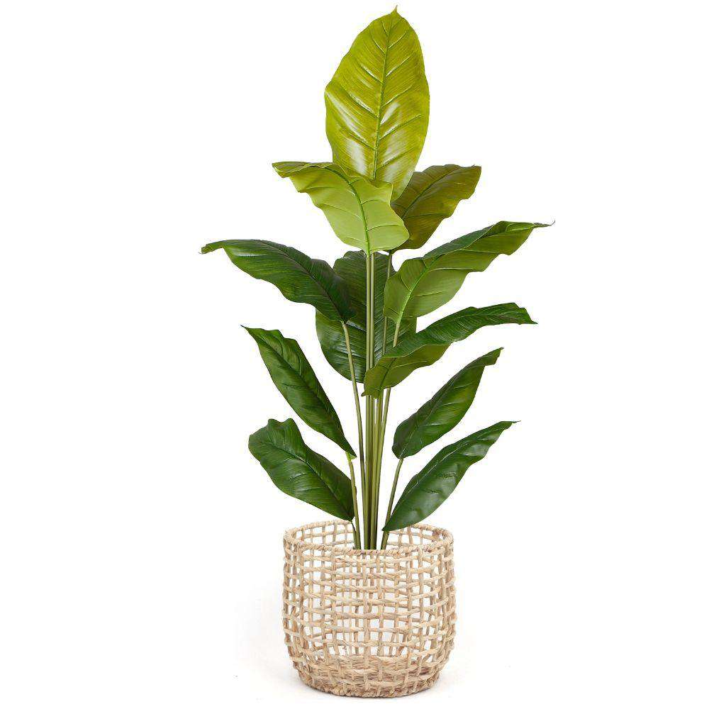 Irma Water Hyacinth Planter
