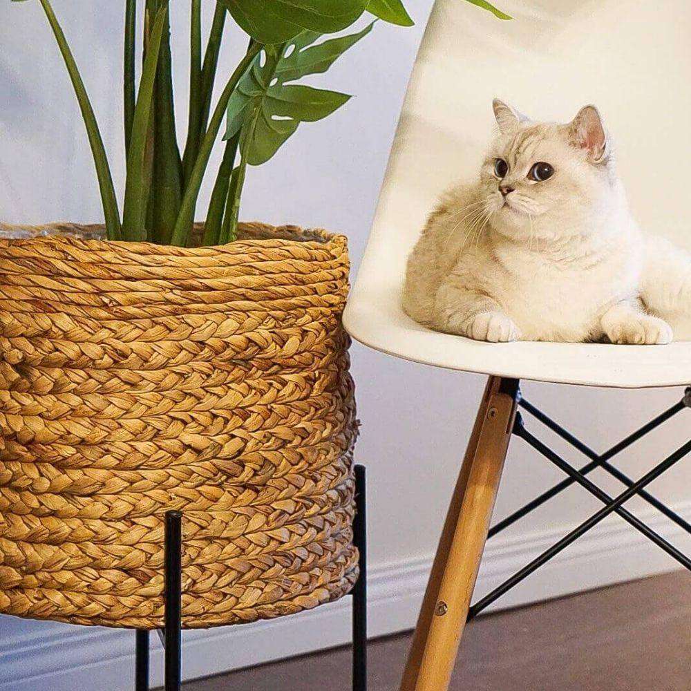 Isha Natural Braided Planter