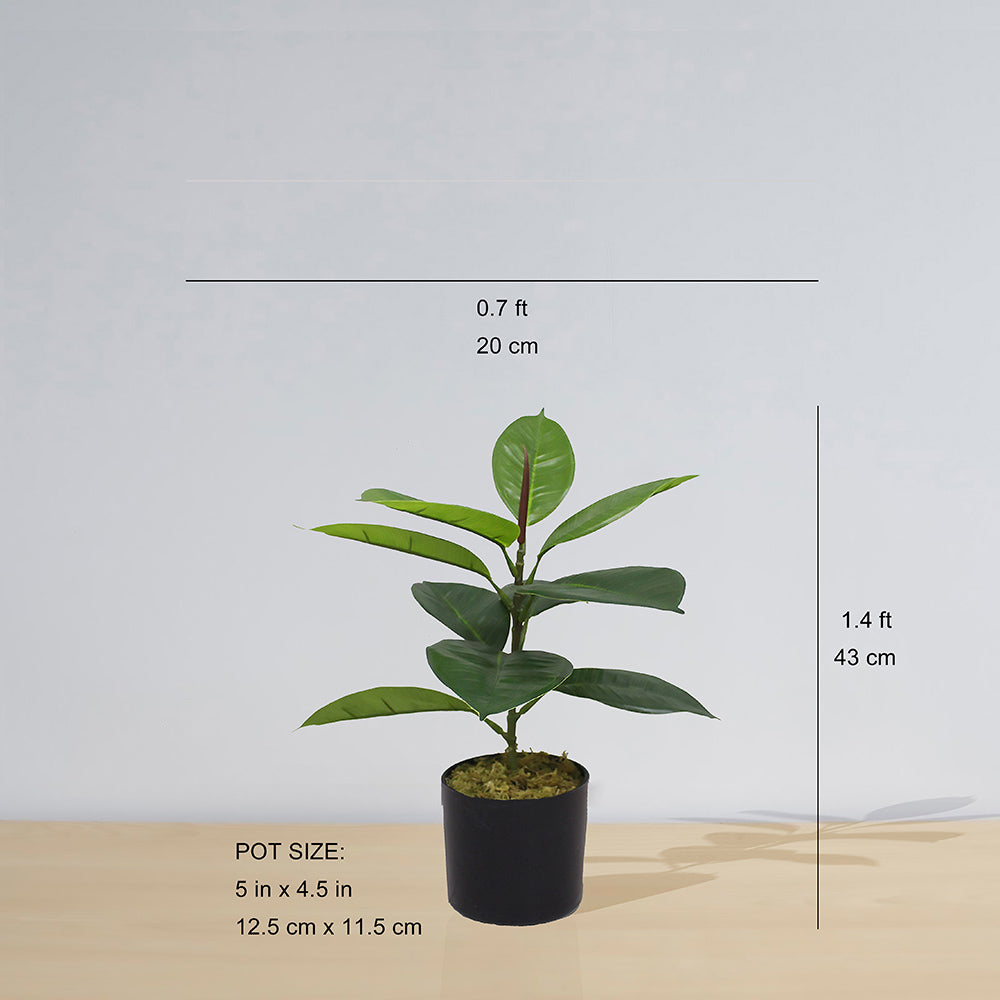 Iza Artificial Rubber Potted Plant 1.4'