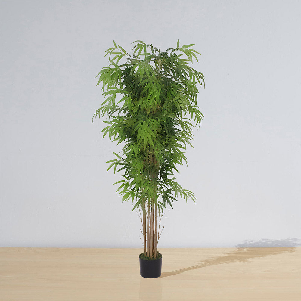 Ceja Artificial Korea Bamboo Potted Plant (Multiple Sizes)