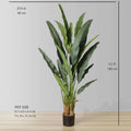 Kola Artificial Travellers Palm Tree Potted Plant (Multiple Sizes)