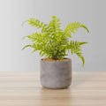 Kuta Potted Faux Fern
