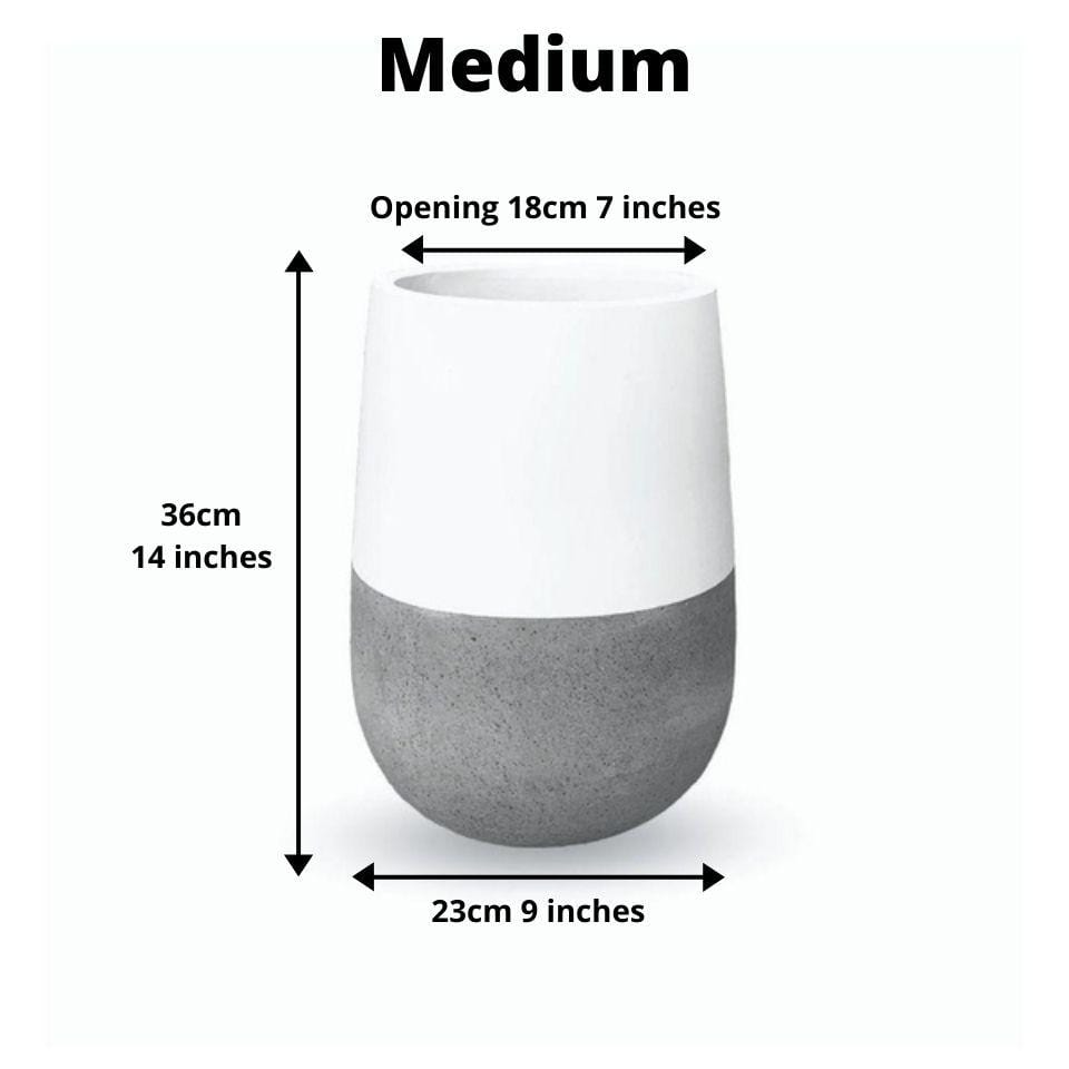 Lagos Cement Planter (Multiple Sizes)