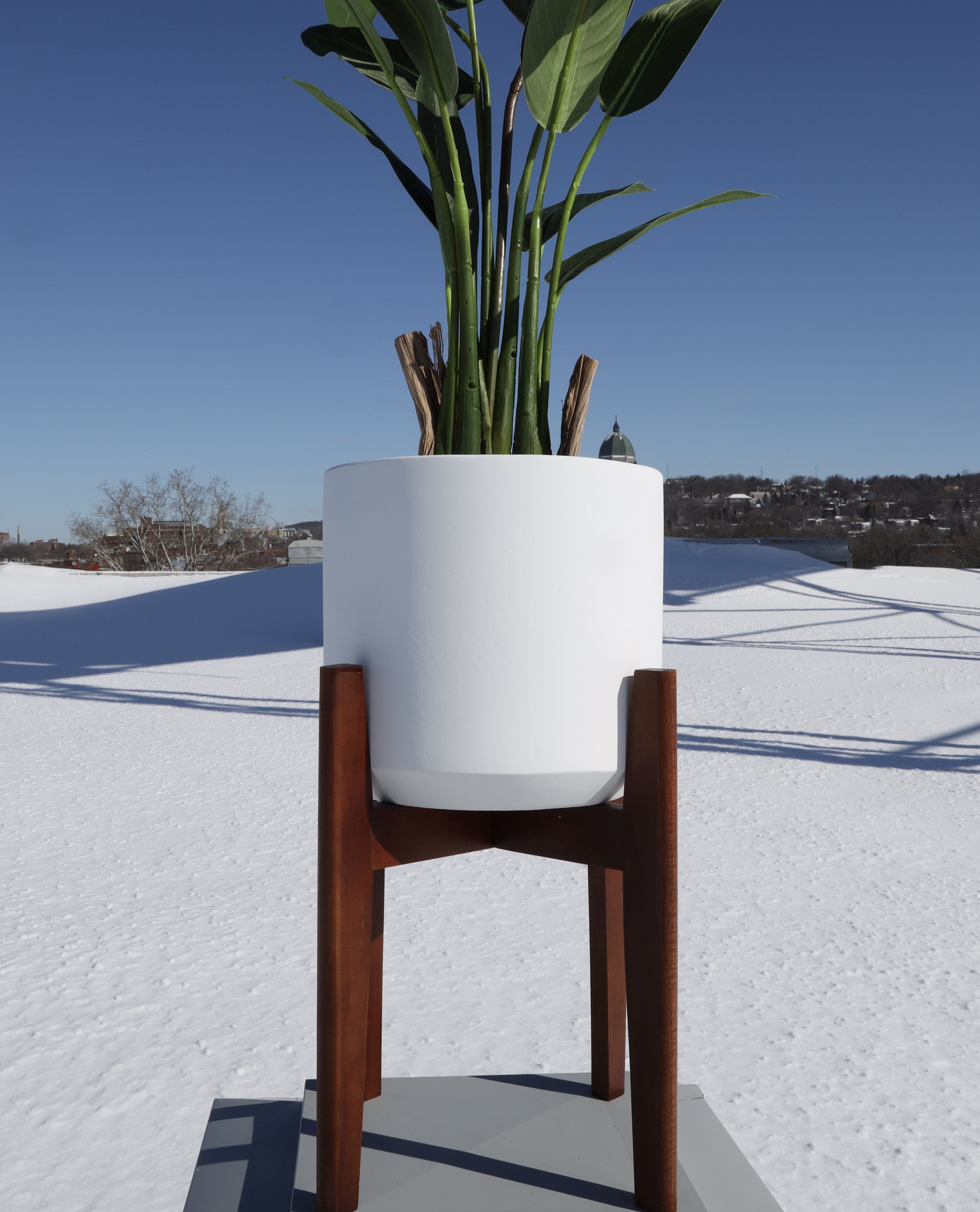 Boni White Mid - Century Cement Planter With Wooden Stand