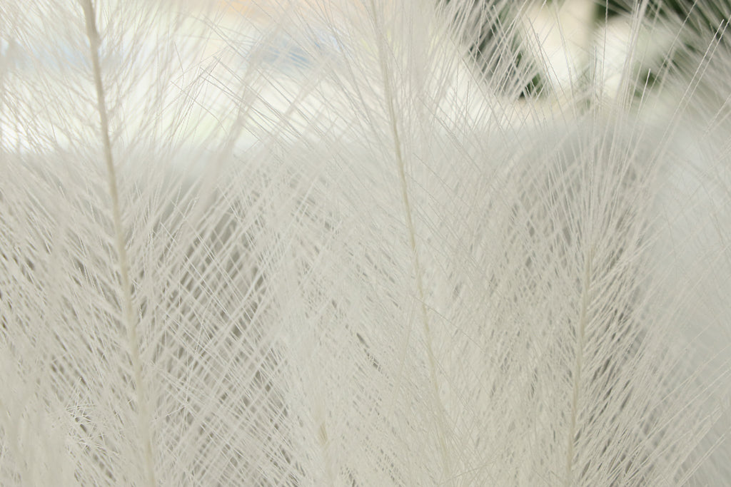 Artificial Pampas Grass Arrangement Ivory (2 Sizes)