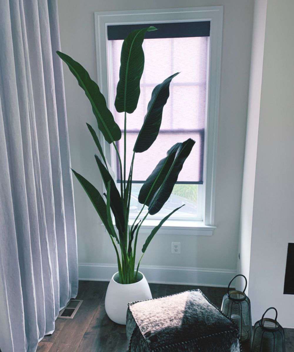 Margo - White Bamboo Floor Planter